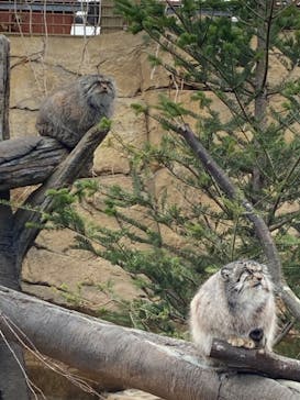 那須どうぶつ王国に投稿された画像（2022/3/28）