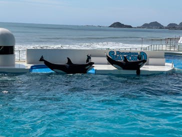 鴨川シーワールドに投稿された画像（2022/3/28）