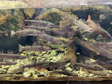 鴨川シーワールドに投稿された画像（2022/3/28）