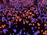 森ビル デジタルアート ミュージアム：エプソン チームラボボーダレスに投稿された画像（2022/3/28）