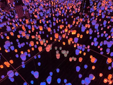 森ビル デジタルアート ミュージアム：エプソン チームラボボーダレスに投稿された画像（2022/3/28）