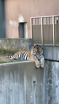 天王寺動物園に投稿された画像（2022/3/28）