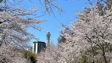 天王寺動物園に投稿された画像（2022/3/28）