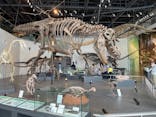 長崎市恐竜博物館に投稿された画像（2022/3/28）