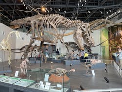 長崎市恐竜博物館に投稿された画像（2022/3/28）