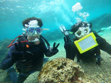 DIVING-SHOP SUNSに投稿された画像（2022/3/28）