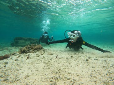 DIVING-SHOP SUNSに投稿された画像（2022/3/28）