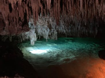 おきなわワールドに投稿された画像（2022/3/28）