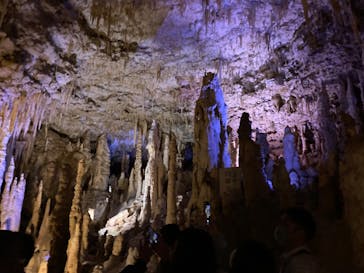 おきなわワールドに投稿された画像（2022/3/28）