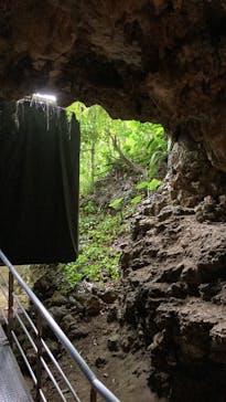 おきなわワールドに投稿された画像（2022/3/28）