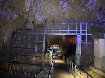 おきなわワールドに投稿された画像（2022/3/28）