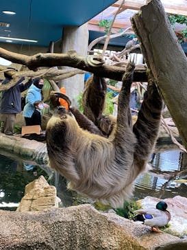 那須どうぶつ王国に投稿された画像（2022/3/28）