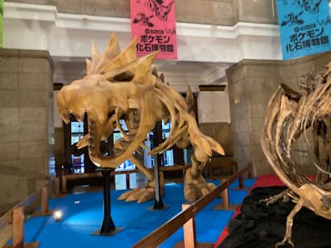 国立科学博物館　特別企画展「ポケモン化石博物館」に投稿された画像（2022/3/28）