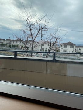 竜泉寺の湯 八王子みなみ野店に投稿された画像（2022/3/28）