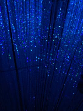 森ビル デジタルアート ミュージアム：エプソン チームラボボーダレスに投稿された画像（2022/3/28）