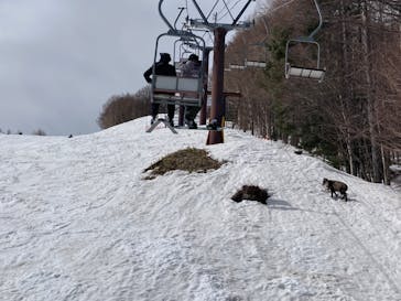 Mt.乗鞍スノーリゾートに投稿された画像（2022/3/28）