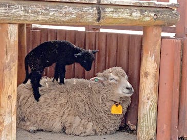東武動物公園に投稿された画像（2022/3/28）