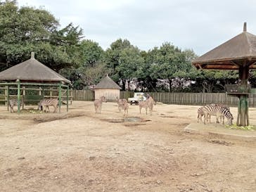 東武動物公園に投稿された画像（2022/3/28）