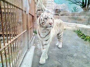 東武動物公園に投稿された画像（2022/3/28）