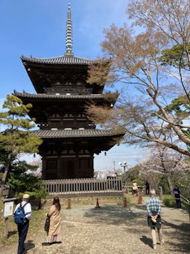 三溪園に投稿された画像（2022/3/28）