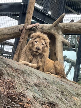 沖縄こどもの国に投稿された画像（2022/3/28）