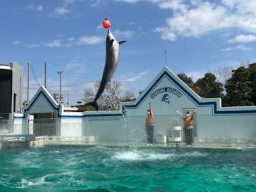しながわ水族館に投稿された画像（2022/3/28）