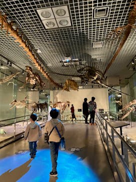 国立科学博物館に投稿された画像（2022/3/28）