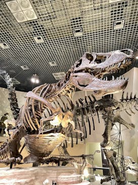 国立科学博物館に投稿された画像（2022/3/28）