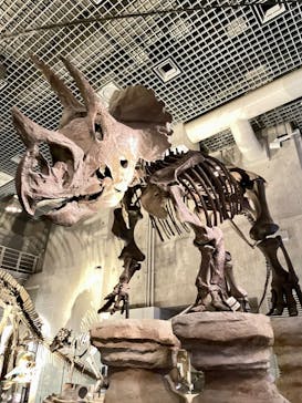 国立科学博物館に投稿された画像（2022/3/28）