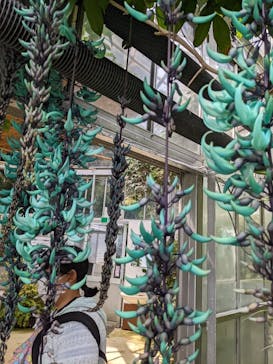 熱川バナナワニ園に投稿された画像（2022/3/28）