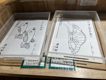 カワスイ 川崎⽔族館に投稿された画像（2022/3/28）