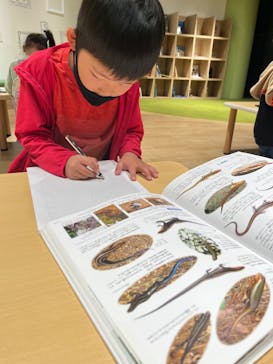 カワスイ 川崎⽔族館に投稿された画像（2022/3/28）