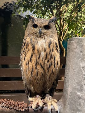 Moff animal world MARK IS みなとみらい店に投稿された画像（2022/3/28）