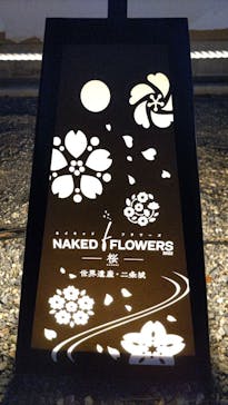 NAKED FLOWERS 2022 -桜- 世界遺産・二条城に投稿された画像（2022/3/28）