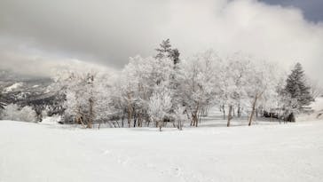 志賀高原中央エリアスキー場に投稿された画像（2022/3/28）