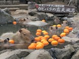 伊豆シャボテン動物公園に投稿された画像（2022/3/28）
