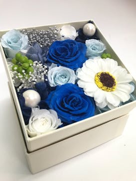 ずこうしつ〜sugamo〜に投稿された画像（2022/3/28）