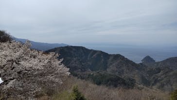 伊豆パノラマパークに投稿された画像（2022/3/28）