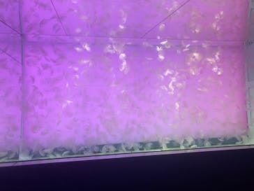 アクアワールド茨城県大洗水族館に投稿された画像（2022/3/28）