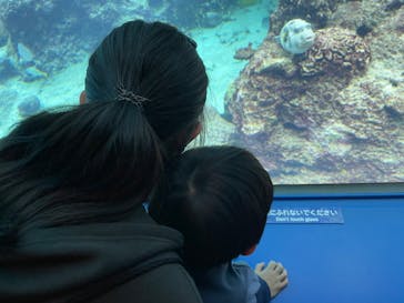沖縄美ら海水族館に投稿された画像（2022/3/28）