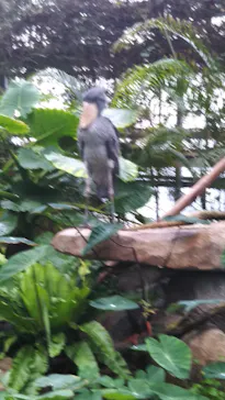 神戸どうぶつ王国に投稿された画像（2022/3/28）