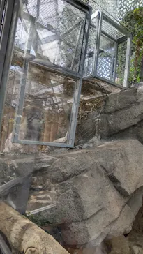 神戸どうぶつ王国に投稿された画像（2022/3/28）