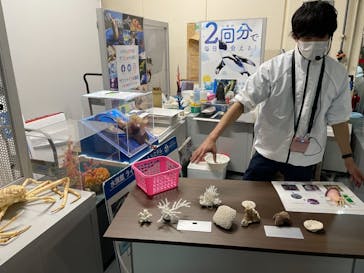 サンシャイン水族館に投稿された画像（2022/3/28）