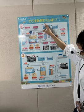 サンシャイン水族館に投稿された画像（2022/3/28）