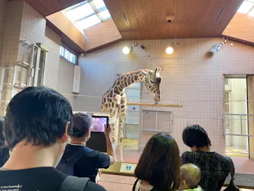 天王寺動物園に投稿された画像（2022/3/28）