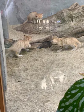 神戸どうぶつ王国に投稿された画像（2022/3/28）