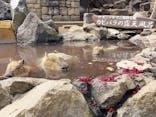 伊豆シャボテン動物公園に投稿された画像（2022/3/29）