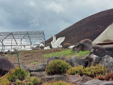 伊豆シャボテン動物公園に投稿された画像（2022/3/28）