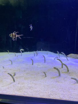 株式会社Gに投稿された画像（2022/3/28）