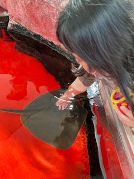 株式会社Gに投稿された画像（2022/3/28）